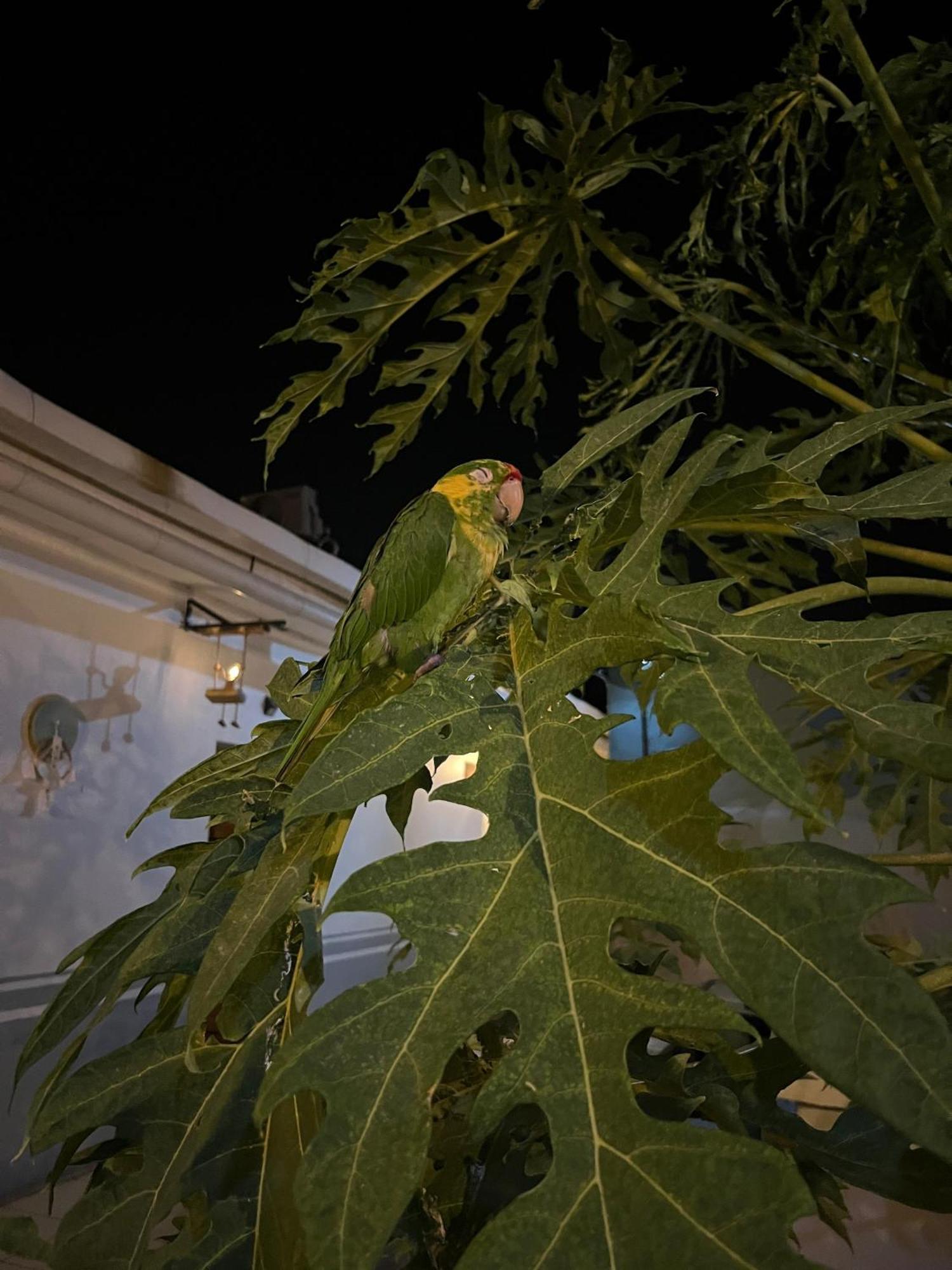 The Wabi Sabi Ξενοδοχείο León Εξωτερικό φωτογραφία